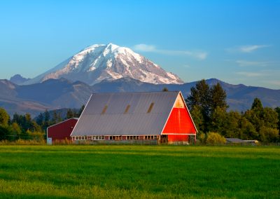 Puyallup Washington Chiropractic Practice for Sale