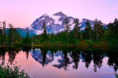 award winning chiropractic practice for sale in Bellingham Washington