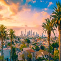 Chiropractic Practice for Sale in West Los Angeles California