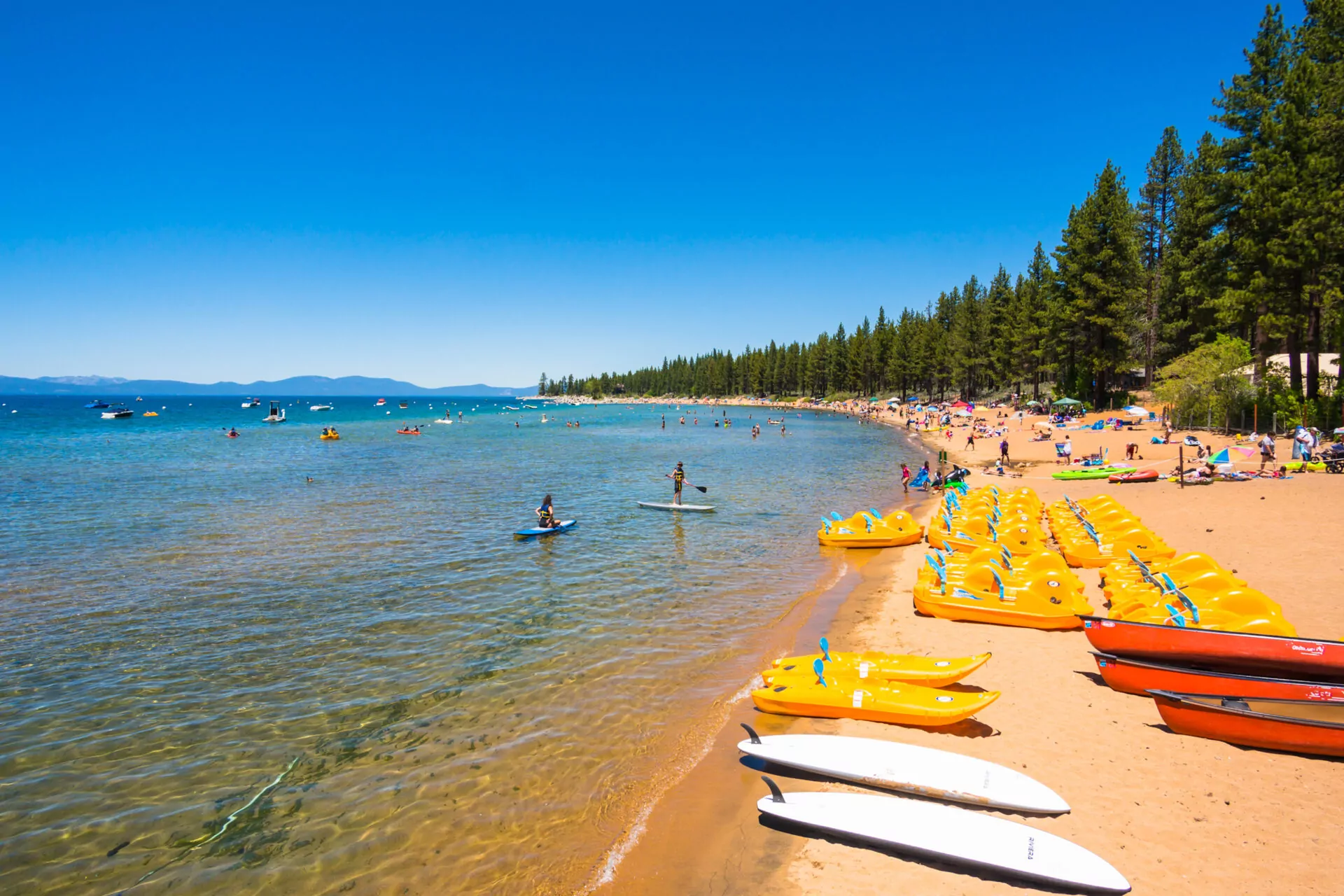 Chiropractic Practice for Sale in LAKE TAHOE, CA