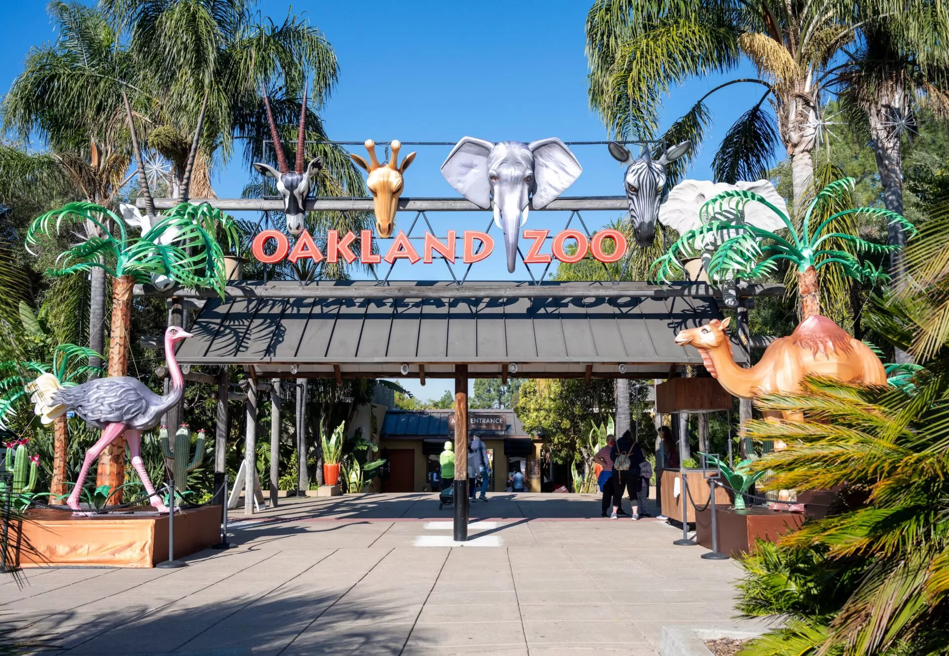 Chiropractic Practice for Sale in BERKELEY CALIFORNIA AREA