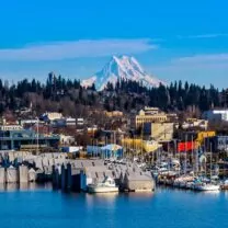 Chiropractic Practice for Sale in Olympia Washington Metro Area