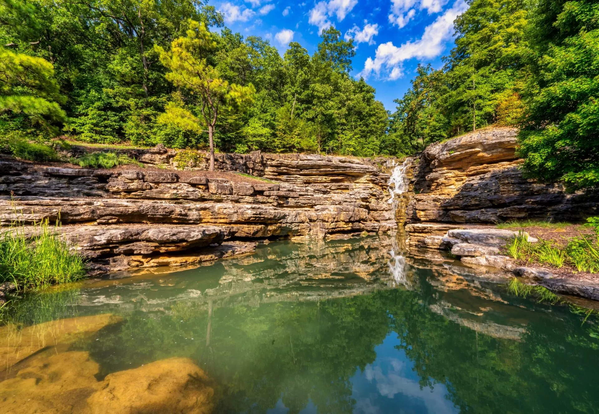 Chiropractic Practice for Sale in SPRINGFIELD, MO METRO AREA