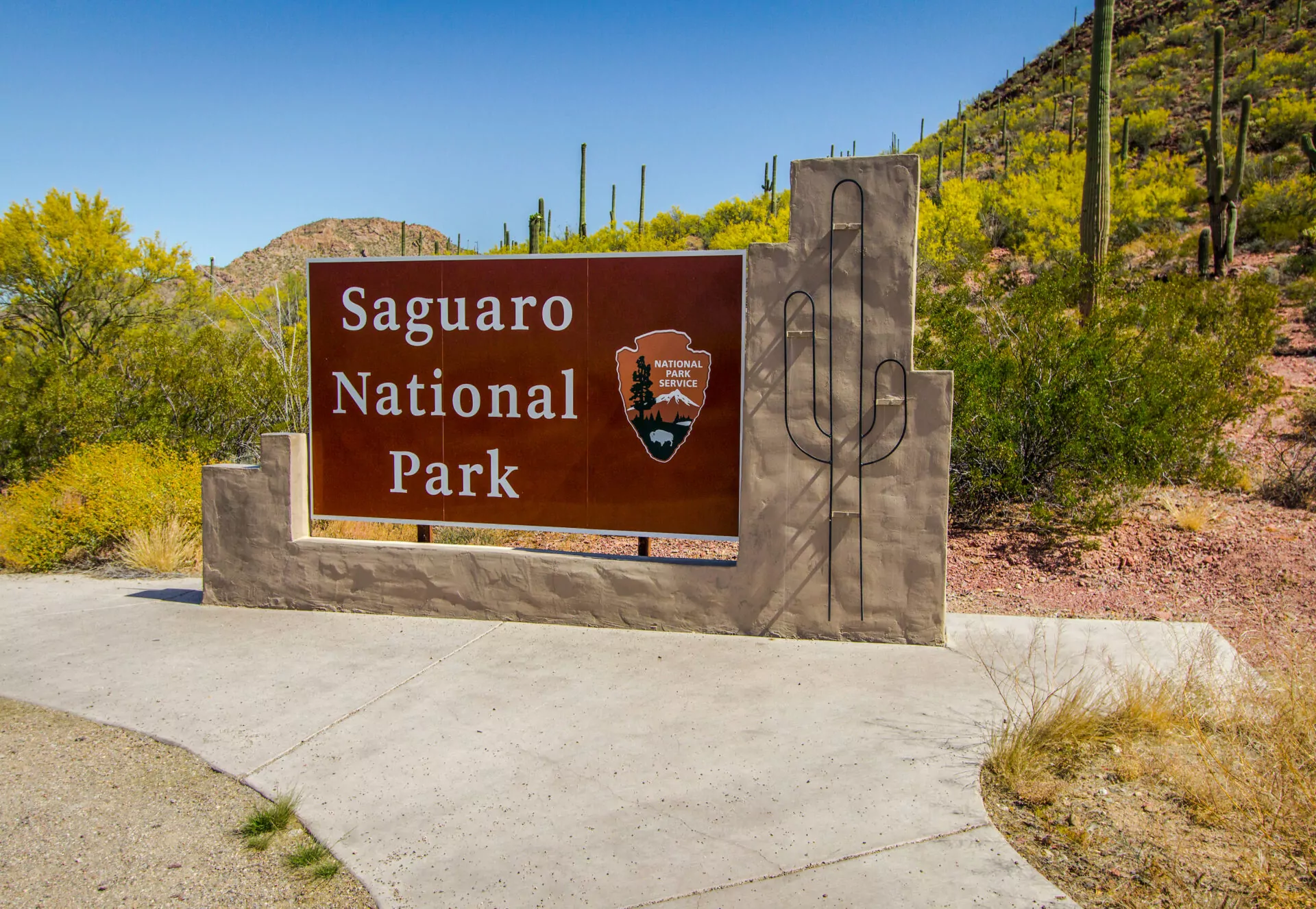 Chiropractic Practice for Sale in TUCSON, ARIZONA