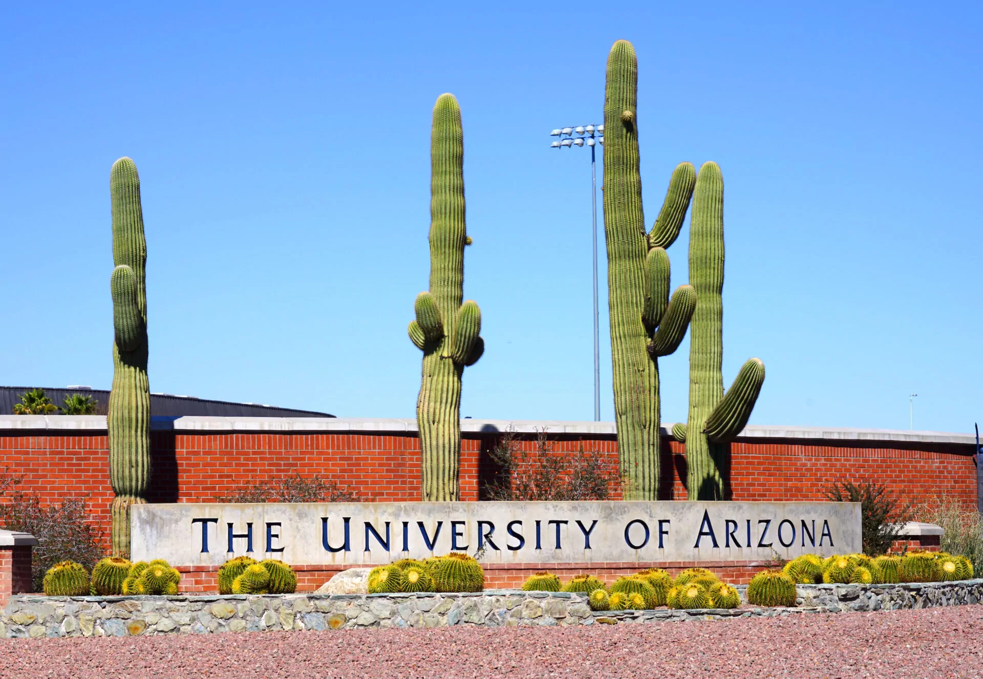 Chiropractic Practice for Sale in TUCSON, ARIZONA