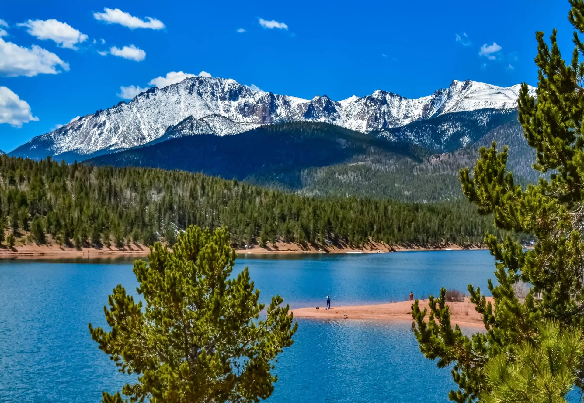 Chiropractic Practice for Sale in Colorado Springs