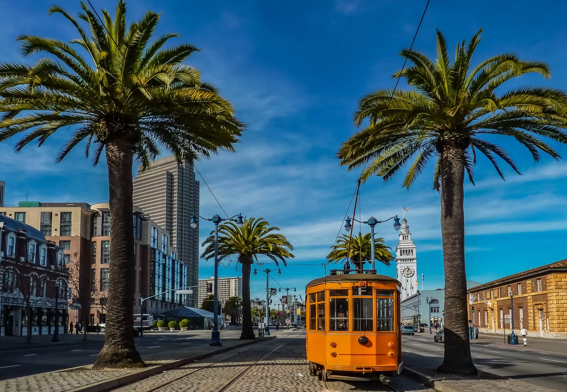 Chiropractic Practice for Sale in Santa Clara County, California