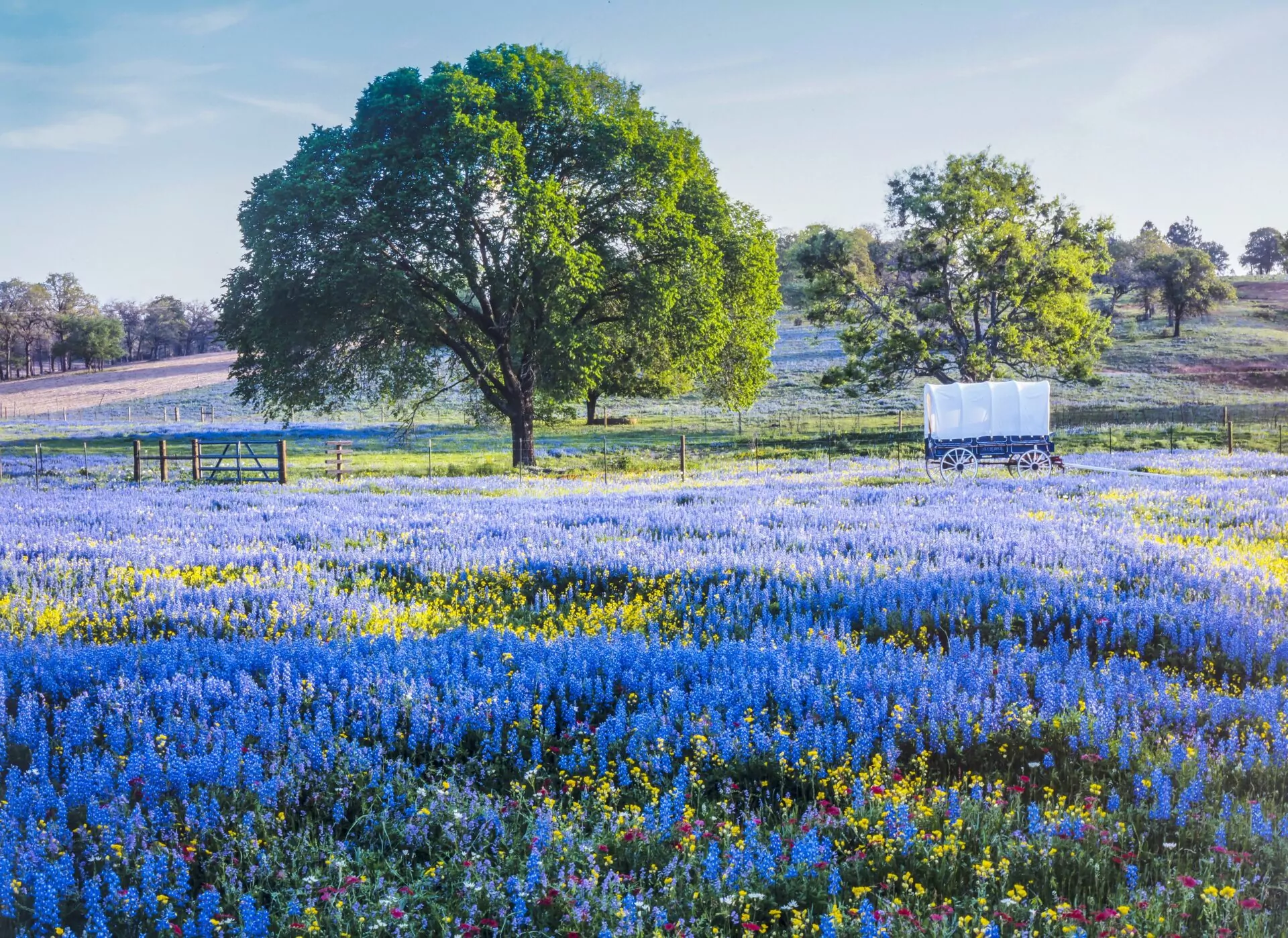 Chiropractic Practice for Sale in North West AUSTIN TX AREA