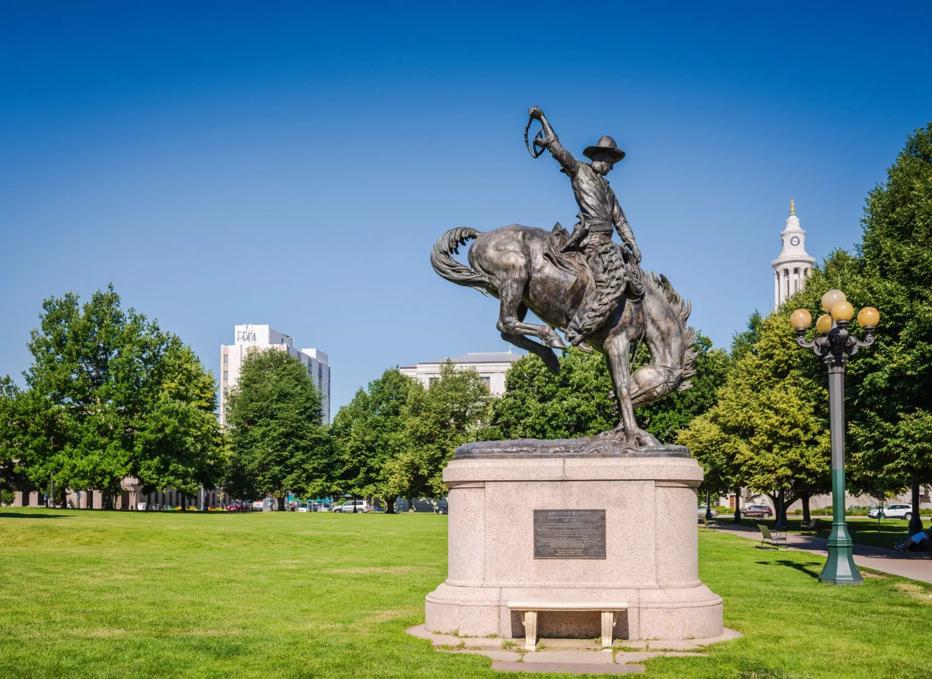 Chiropractic Practice for Sale in DENVER CO METRO AREA