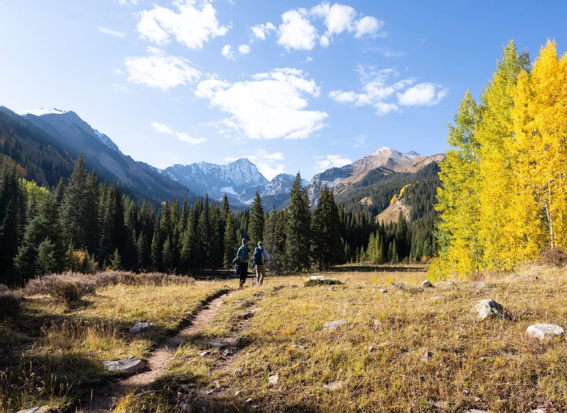Chiropractic Practice for Sale in DENVER CO METRO AREA