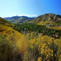 Chiropractic Practice for Sale in DENVER CO METRO AREA