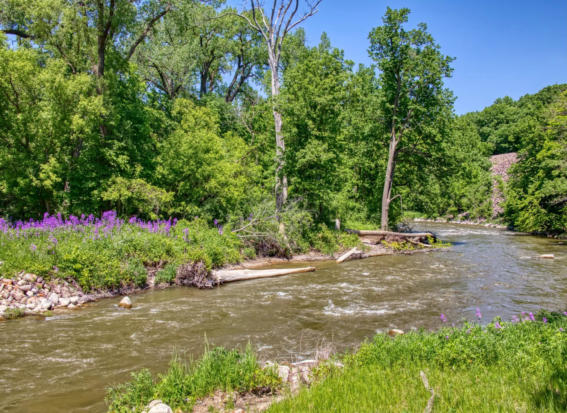 Chiropractic Practice for Sale in SOUTHWEST MINNESOTA