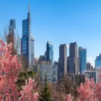 Chiropractic Practice for Sale in Philadelphia Camden Wilmington PA Metro Area