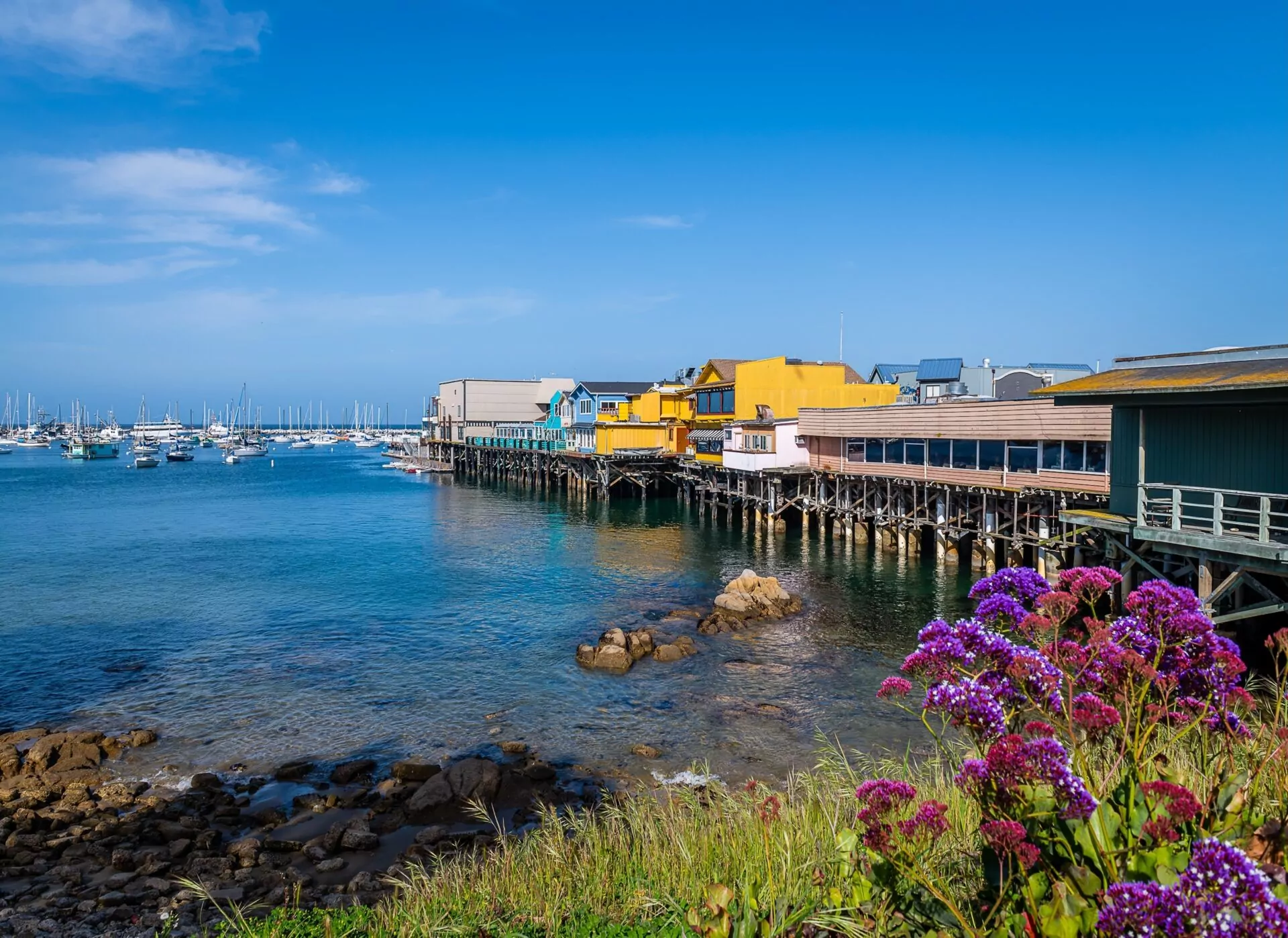 Chiropractic Practice for Sale in MONTEREY COUNTY, CALIFORNIA