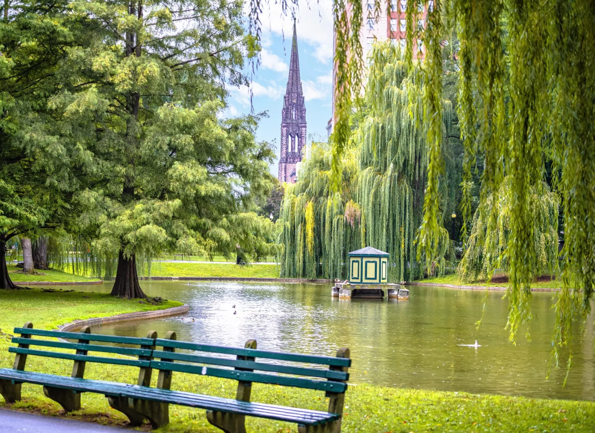 Chiropractic Practice for Sale in the Greater Boston, Massachusetts Area
