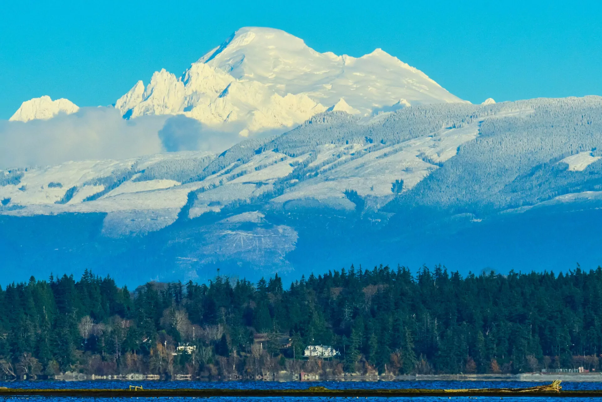 associate chiropractor wanted for employment Skagit Valley Washington