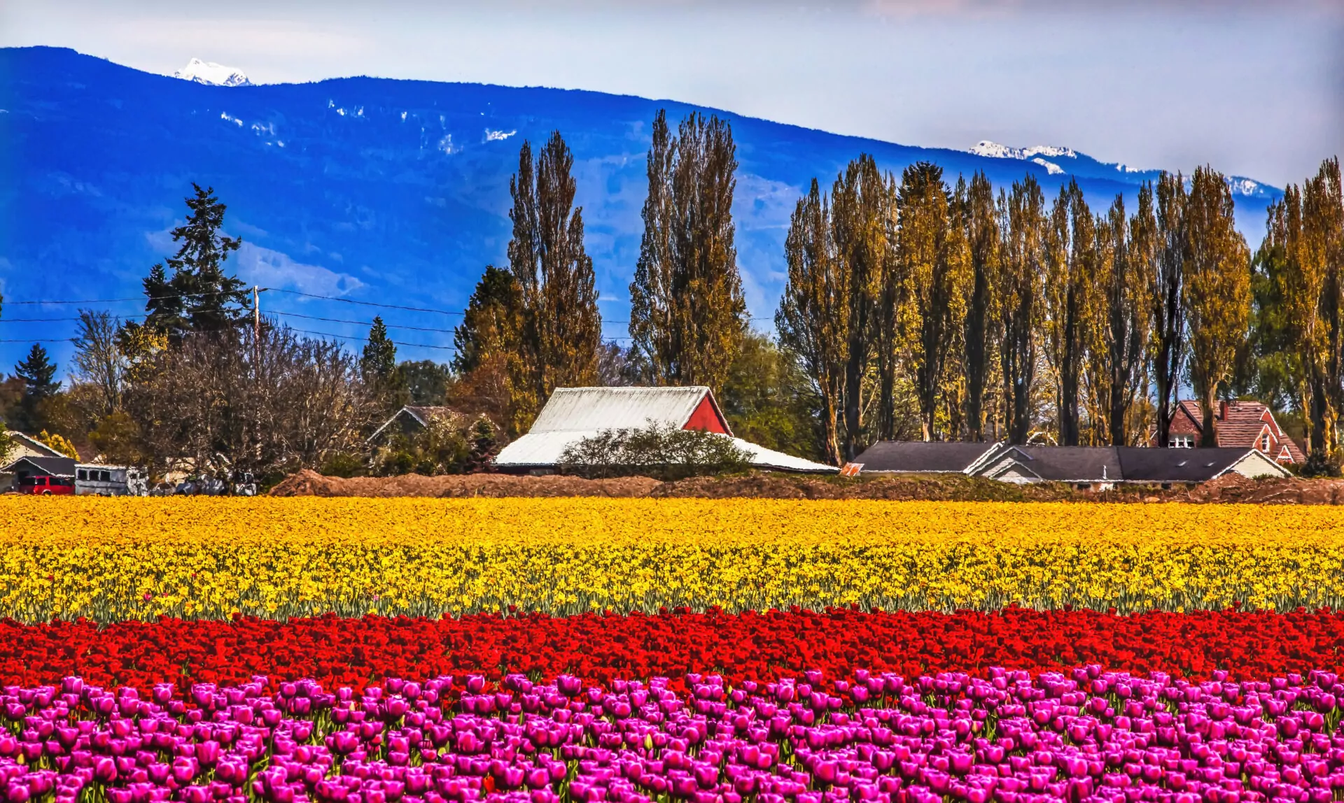 associate chiropractor wanted for employment Skagit Valley Washington