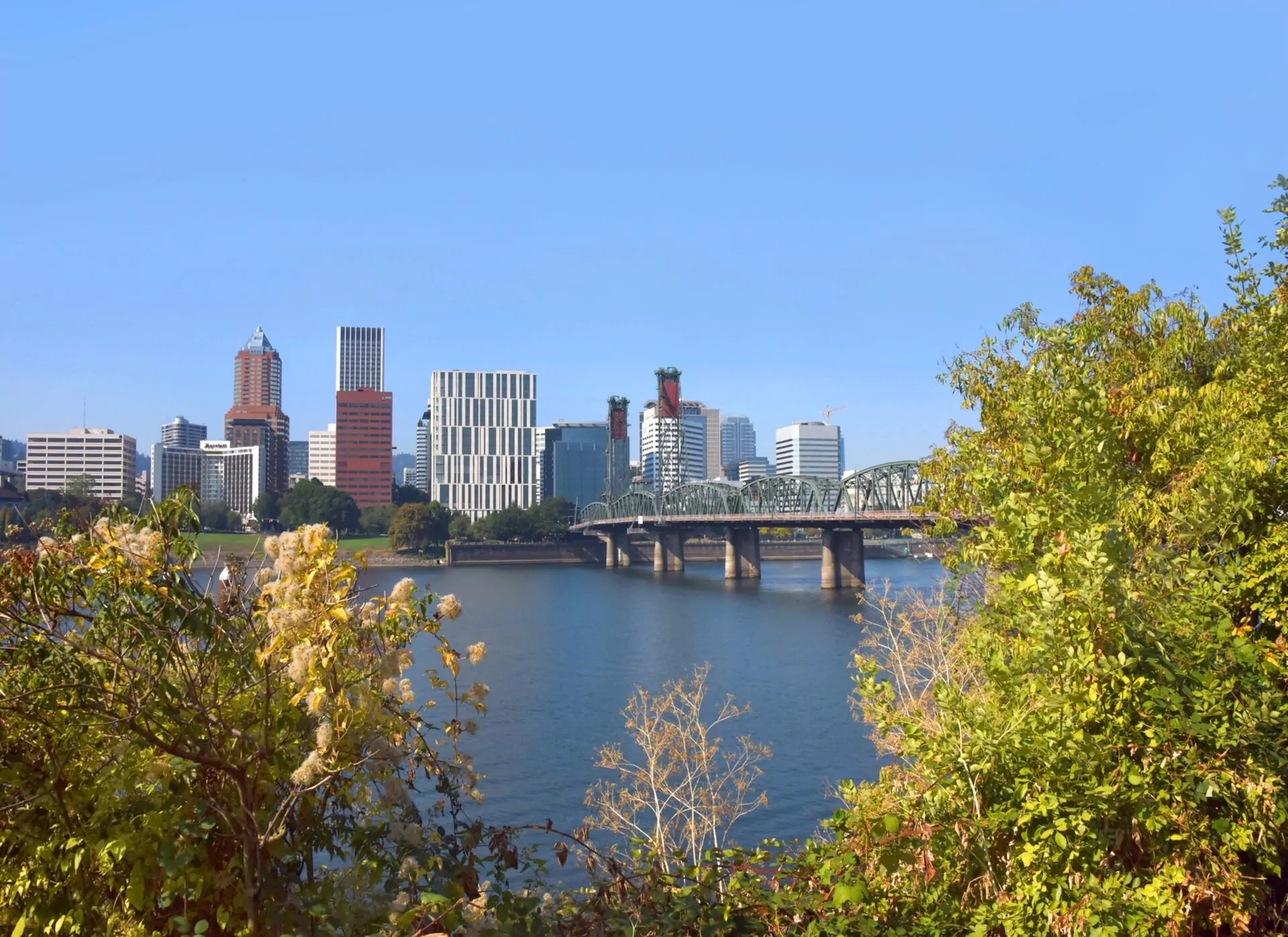 Chiropractic Practice for Sale in Vancouver Washington