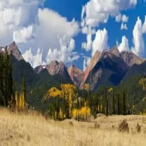 Chiropractic Practice for Sale in Thornton Colorado