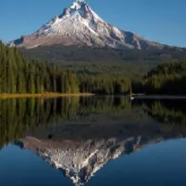 Chiropractic Practice for Sale in Vancouver Washington