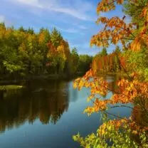 Chiropractic Practice for Sale in Mirror Lake NH
