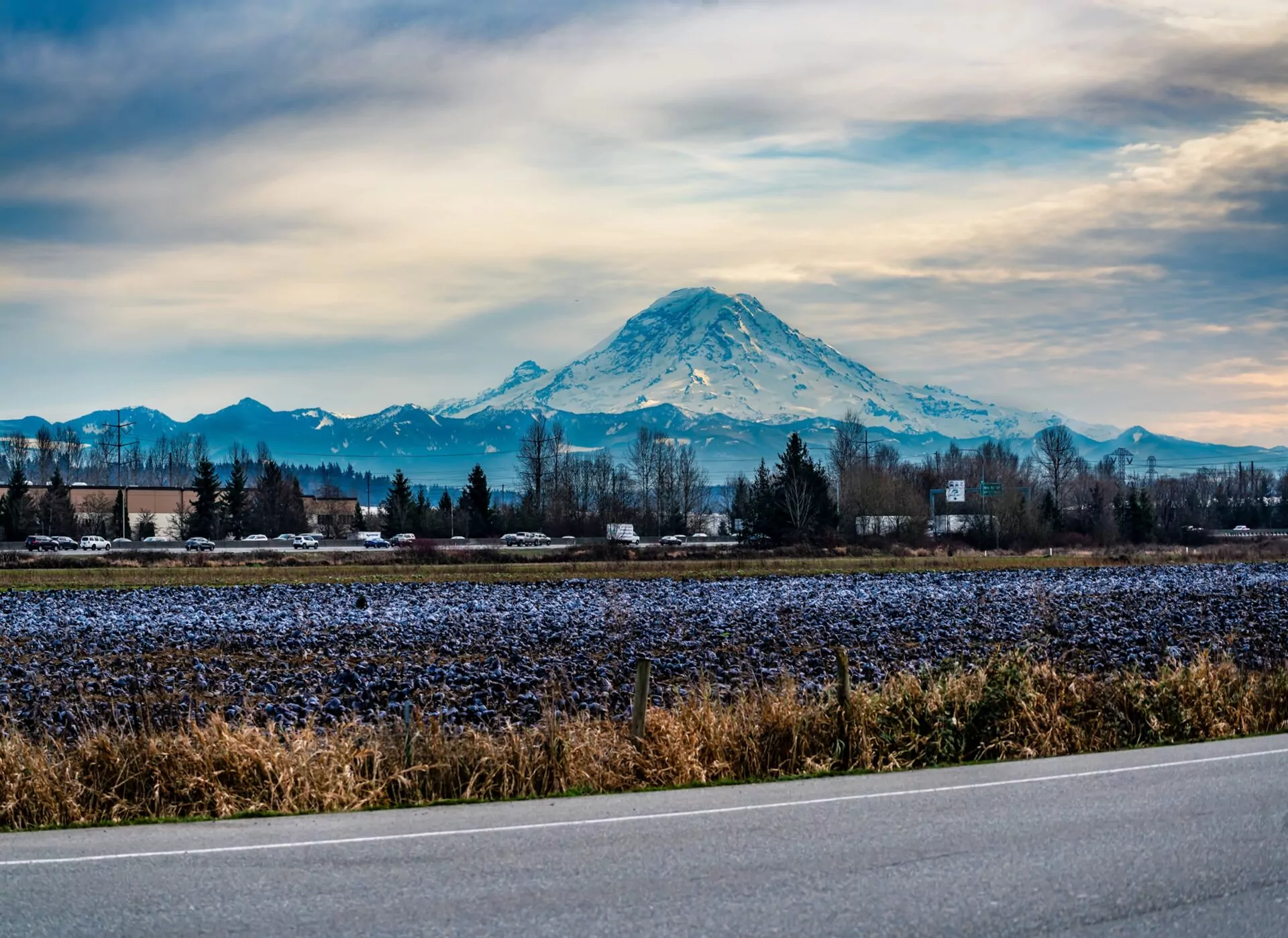 Chiropractic Practice for Sale in Kent, Washington