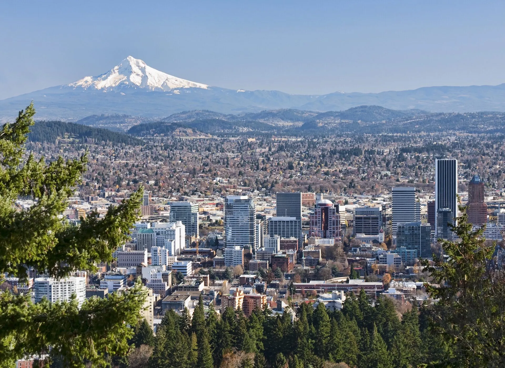 Chiropractic Practice for Sale in NE Vancouver WA